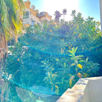 KLOPATRA PLAJINA 300 M 1+1 FULL ACTİVİTELİ DAİRE