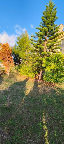 3+1 GENİŞ SATILIK İKİZ VİLLA