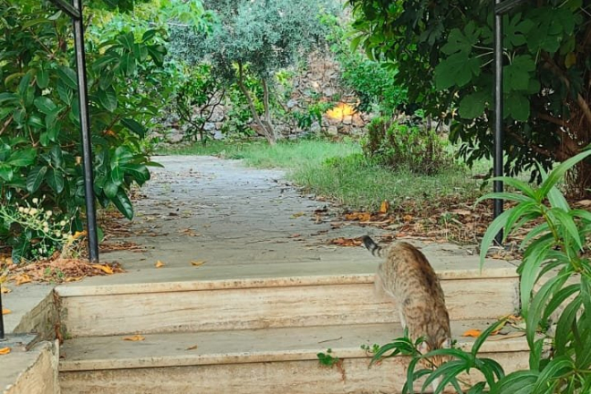 Дом для семьи у моря с собственным садом и приватной атмосферой3+1 GENİŞ SATILIK İKİZ VİLLA