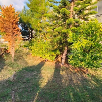 3+1 GENİŞ SATILIK İKİZ VİLLA