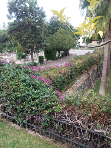 DENİZE 600 METRE 2+1 SATILIK VİLLA