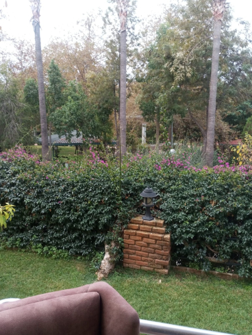 DENİZE 600 METRE 2+1 SATILIK VİLLA