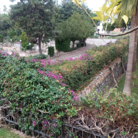 DENİZE 600 METRE 2+1 SATILIK VİLLA