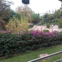 DENİZE 600 METRE 2+1 SATILIK VİLLA