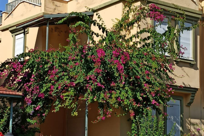 DENİZE YÜRÜME MESAFESİNDE 2+1 SATILIK VİLLA