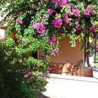 DENİZE YÜRÜME MESAFESİNDE 2+1 SATILIK VİLLA