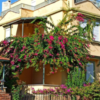 DENİZE YÜRÜME MESAFESİNDE 2+1 SATILIK VİLLA