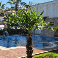 SİTE İÇERİSİNDE FULL AKTİVİTELİ  SATILIK 3+1 GARDEN DUBLEX